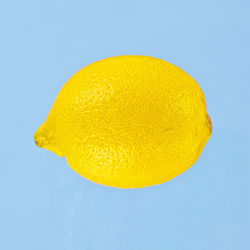 Close-up of lemon slice against white background