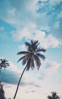 Low angle view of palm tree against sky