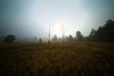 Scenic view of field against sky