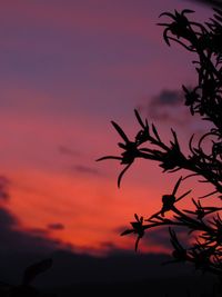 Silhouette tree against orange sky