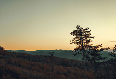 Scenic view of landscape against clear sky during sunset