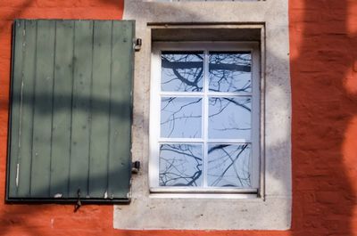 Close-up of window