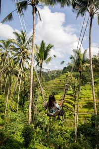 Rear view of woman sitting on swing over field