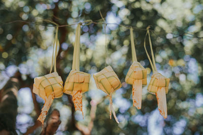 Close-up of ketupat hanging against blurred background