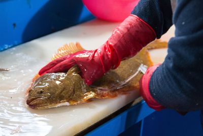 Close-up of hand holding fish