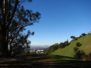 Scenic view of landscape against clear blue sky