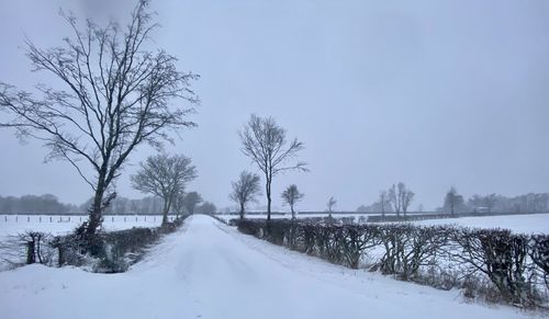 Snow covered road by trees against sky