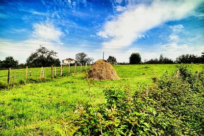 Scenic view of grassy field against cloudy sky