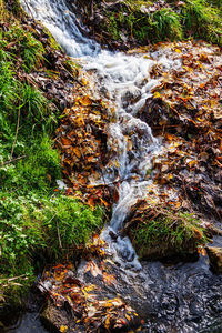 Stream flowing through rocks in forest