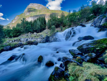 Scenic view of waterfall in forest