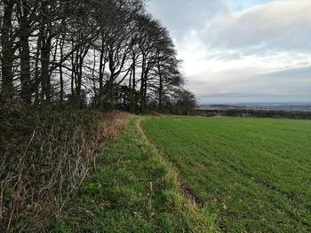 Scenic view of field against sky