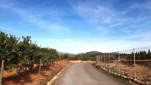 Road amidst trees against sky