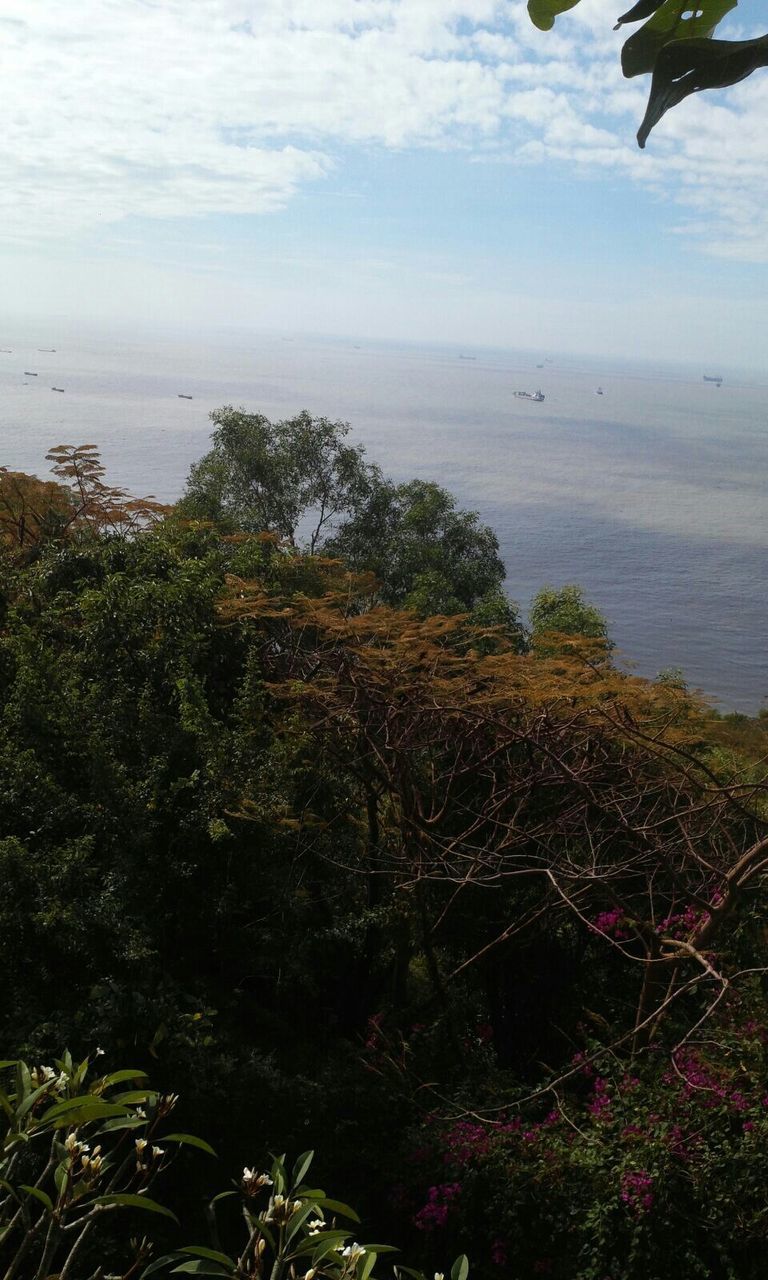 sea, water, horizon over water, sky, tranquility, tranquil scene, beauty in nature, scenics, nature, growth, plant, beach, tree, shore, idyllic, cloud - sky, high angle view, outdoors, coastline, no people