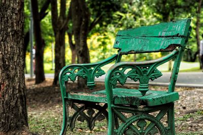 Empty bench in park