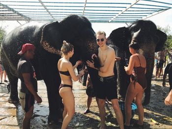 Portrait of smiling young man with friends touching elephants