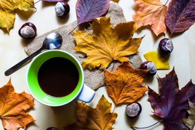 High angle view of coffee and leaves on table