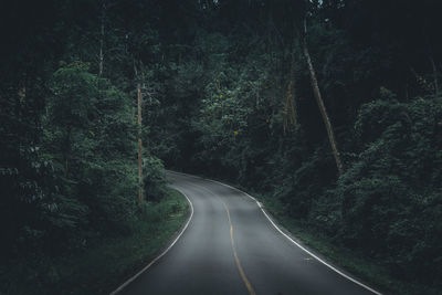 Empty road amidst trees in forest