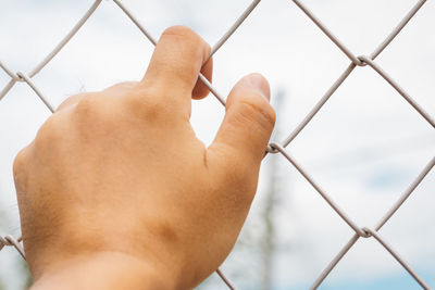 Close-up of hand holding chainlink fence