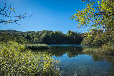 Scenic view of lake against clear blue sky