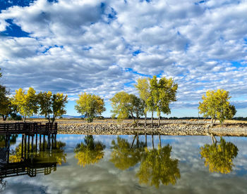 Trees by lake against sky