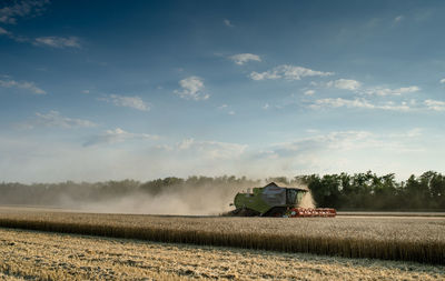 Combine harvesters on wheat field against sky