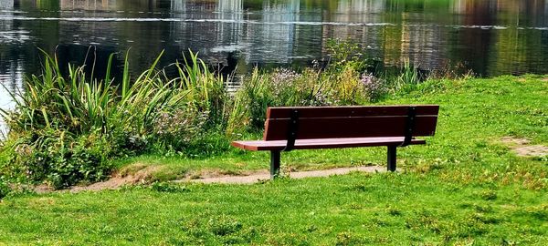 Empty bench on grass by lake