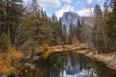 Scenic view of lake by trees against sky