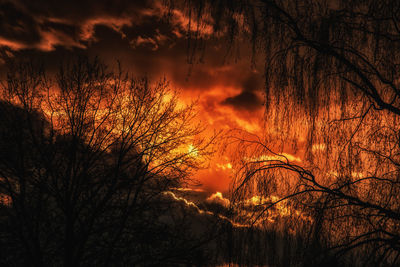 Silhouette trees against dramatic sky during sunset