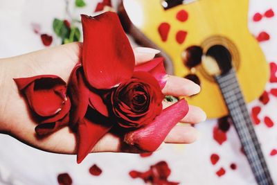 High angle view of rose on table