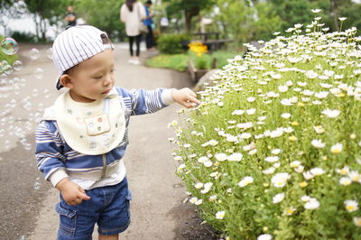 Cute boy looking at flowering plants while standing in garden