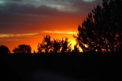 Silhouette of trees against dramatic sky