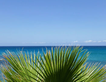 Scenic view of sea against clear blue sky