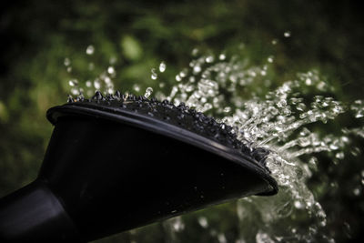 Close-up of water sprinkling from watering can