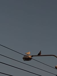 Low angle view of power lines against clear sky