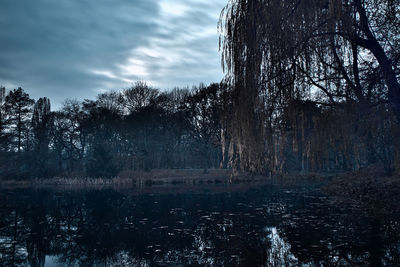 Bare trees by lake against sky in forest