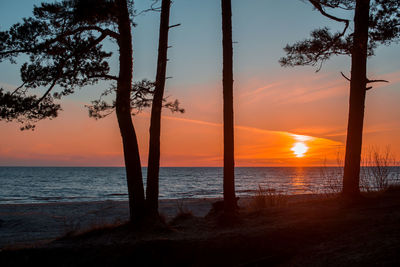 Silhouette tree by sea against sky during sunset