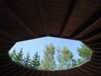 Low angle view of trees against sky