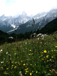 Scenic view of snowcapped mountains against sky