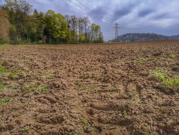 Scenic view of field against sky