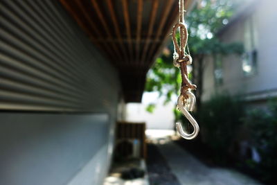 Close-up of plant hanging on metal