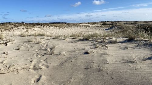 Scenic view of desert against sky