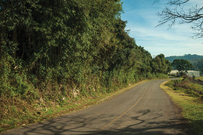 Empty road amidst trees against sky