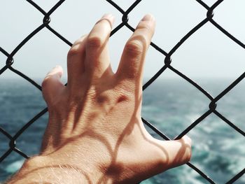 Close-up of hand holding chainlink fence against sky