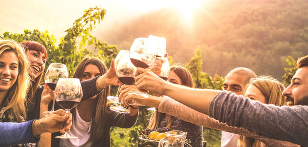 Friends toasting wineglasses