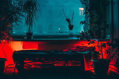 Empty bed and potted plants in illuminated room