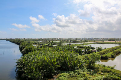 Scenic view of lake against sky