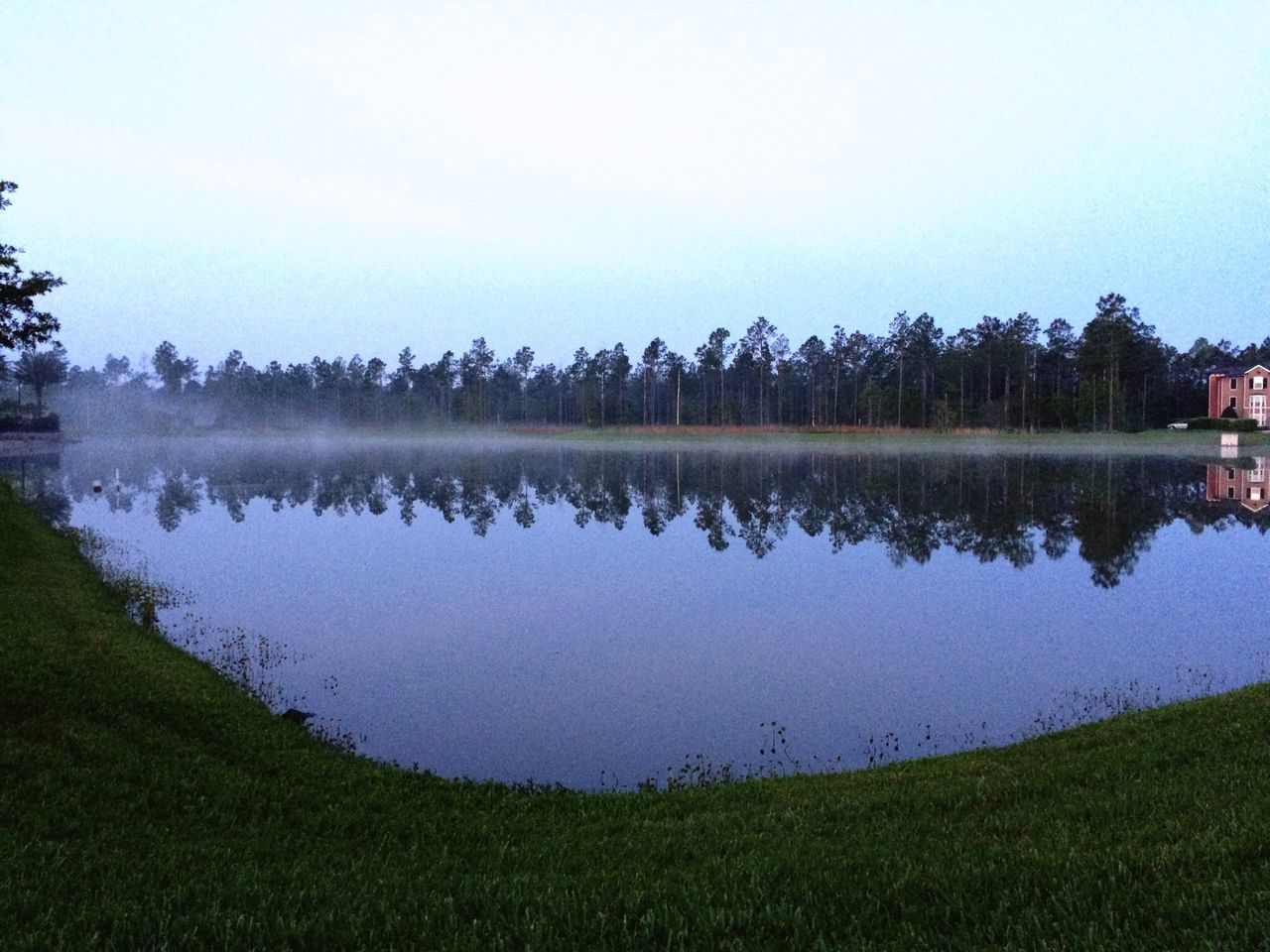 grass, water, tranquil scene, tranquility, lake, tree, scenics, reflection, beauty in nature, clear sky, nature, sky, growth, grassy, green color, idyllic, field, plant, lakeshore, copy space