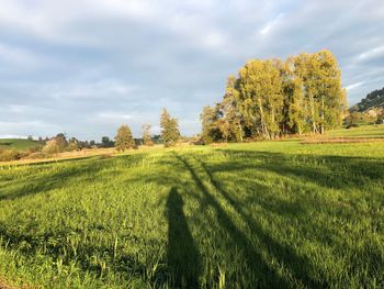 Scenic view of field against sky