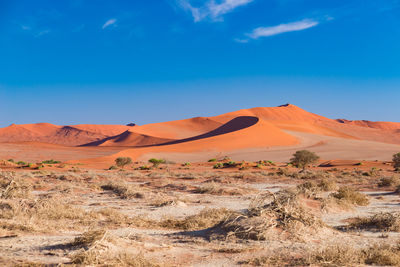 View of a desert