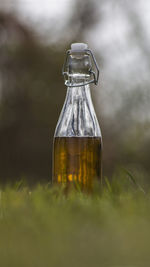 Close-up of bottle of drink on field